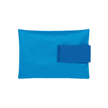 First Aid Guide for Pet Owners: At Home and on the Go (Blue)
