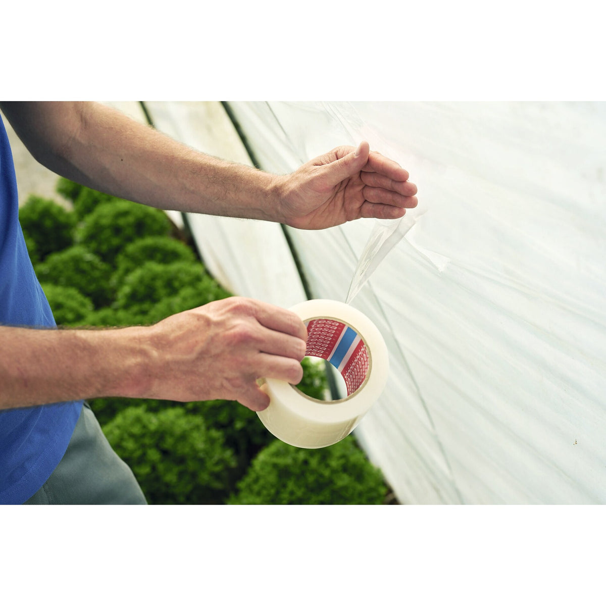 tesa 4646 Greenhouse Repair Tape, PE, 33 m x 50 mm, transparent – Applications