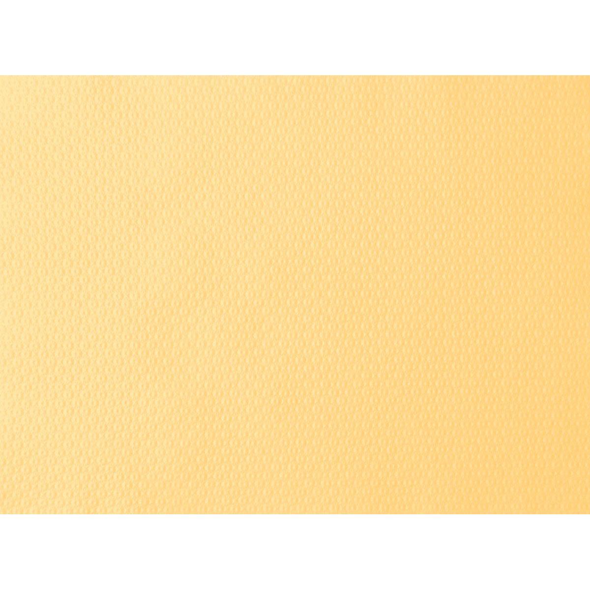 The close-up of the cream-colored paper placemat 30x40 cm from Duni GmbH shows a subtle, evenly distributed dot structure across the entire surface - ideal for parties and events. Even background, suitable for packs of 500 pieces.