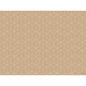The paper placemats 30x40 cm Woven ecoecho by Duni GmbH feature a symmetrical, geometric pattern of white lines on a light brown background - eco-friendly, stylish, and available in packs of 250 pieces.