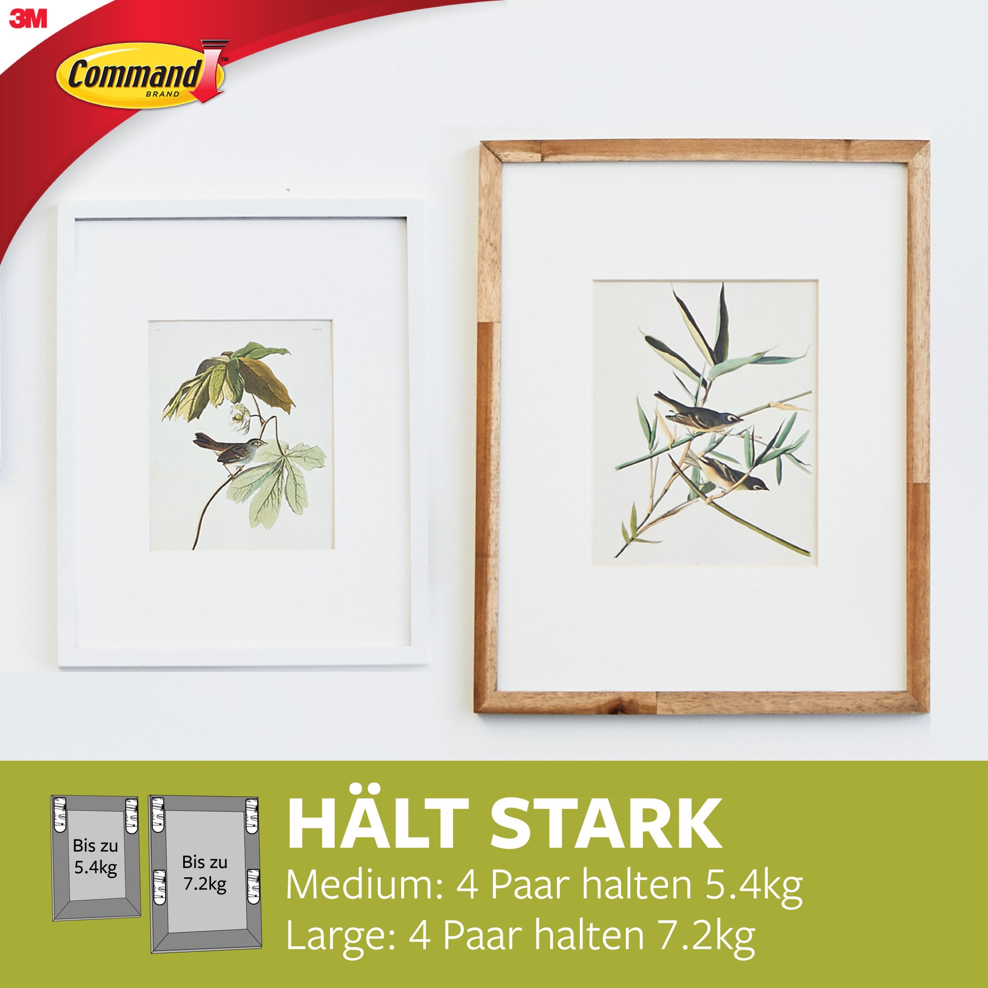 Zwei gerahmte botanische Drucke hängen an einer weißen Wand. Text und Verpackung unten heben Command™ Bilder-Montage-Strips Multi-Pack 17209 von 3M Deutschland GmbH für einfaches, rückstandsfreies Aufhängen ohne Nägel hervor.