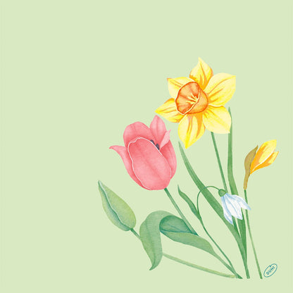 Illustration of a pink tulip, a yellow daffodil, a small white blossom, and a yellow bud on a light green background - ideal for the Bio-Dunisoft napkin. 40x40cm by Duni GmbH.