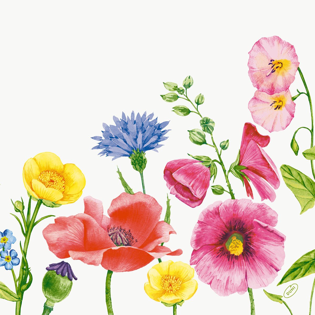 Colorful wildflowers - red poppies, yellow buttercups, pink hollyhocks, blue cornflowers - arranged on a plain white background, ideal for the Bio-Dunisoft napkin. 40x40cm by Duni GmbH.