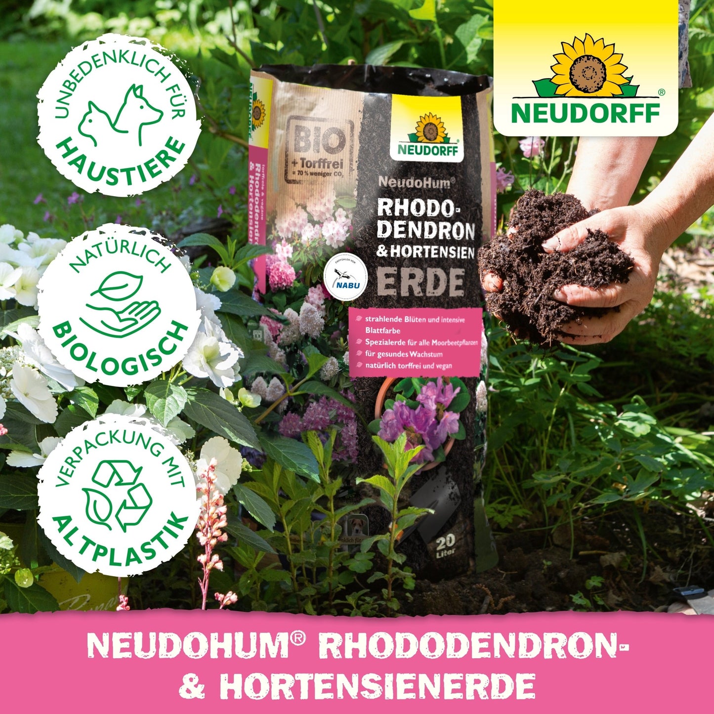 A person with rich NeudoHum Rhododendron & Hydrangea Soil from the Neudorff Shop, ideal for promoting the healthy growth of rhododendrons.