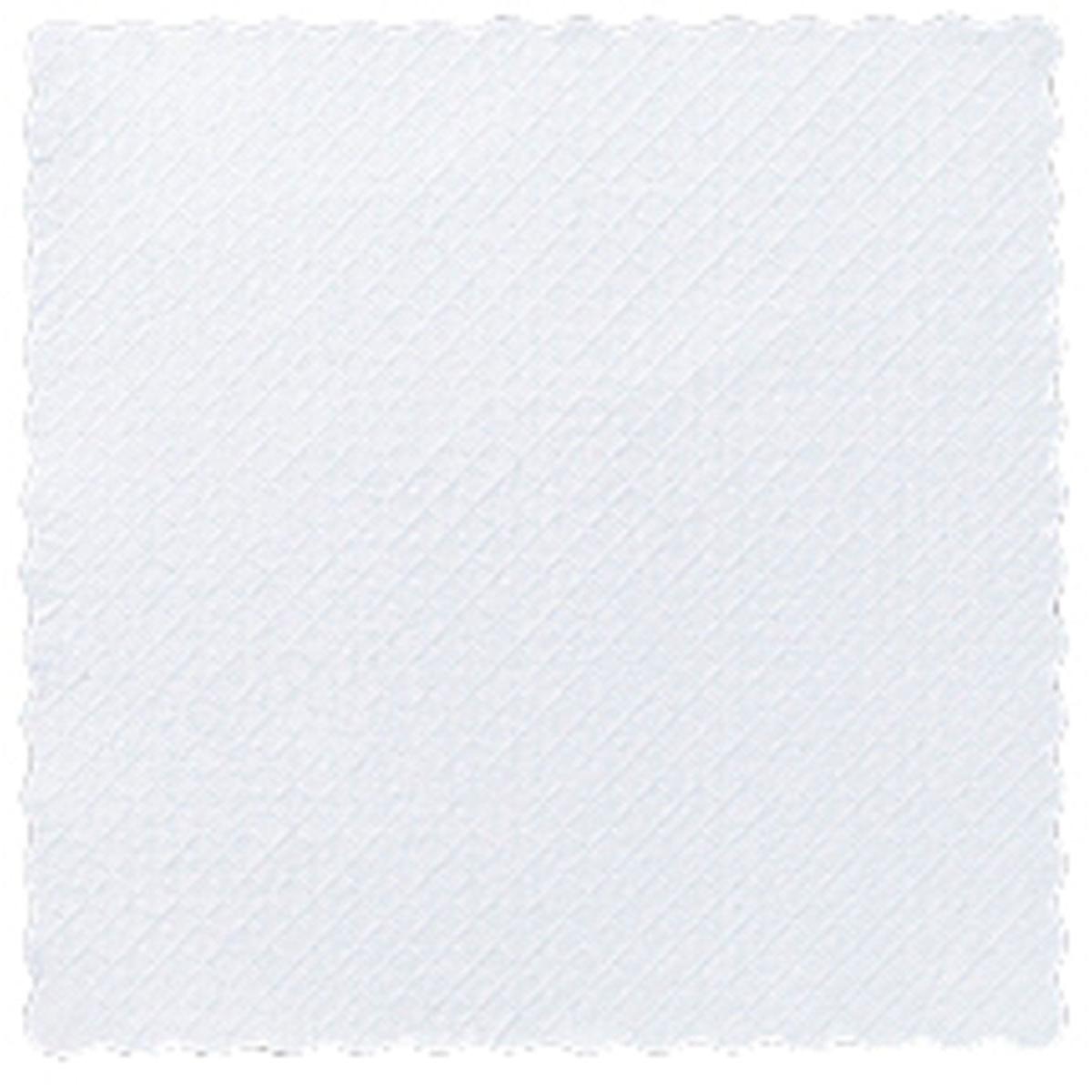 Tagann an Duni GmbH páipéar milseog deckchen 17x17 cm, bán, i bpacáiste de 4000 píosa agus tá sé thar a bheith galánta - iontach do bhialanna leagtha amach go stíleálta.