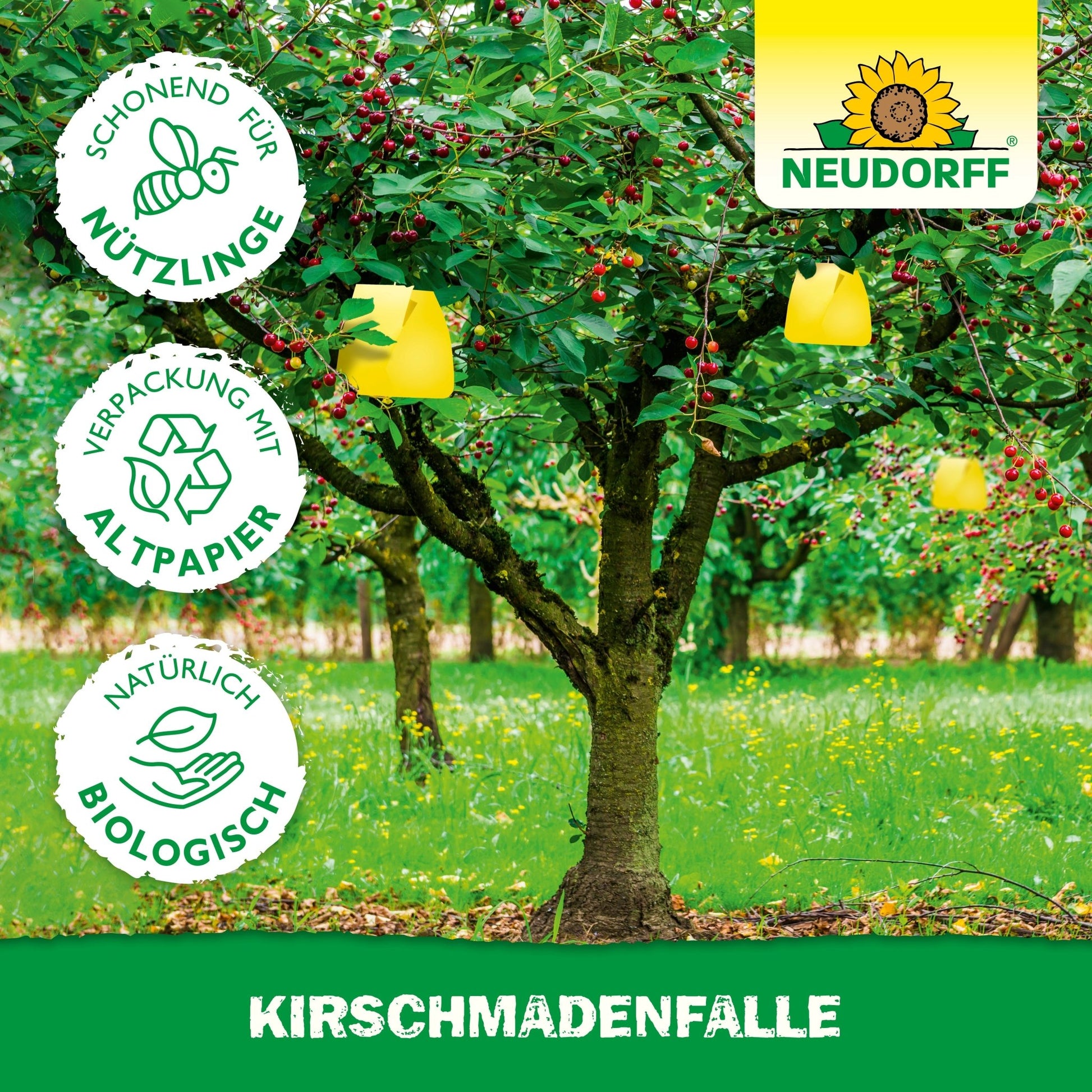 A cherry tree with a yellow Neudorff Shop cherry maggot trap protects your cherry harvest from fruit flies. Three icons show: beneficial insect-friendly, recycled paper packaging, and naturally organic. Top right the Neudorff logo.