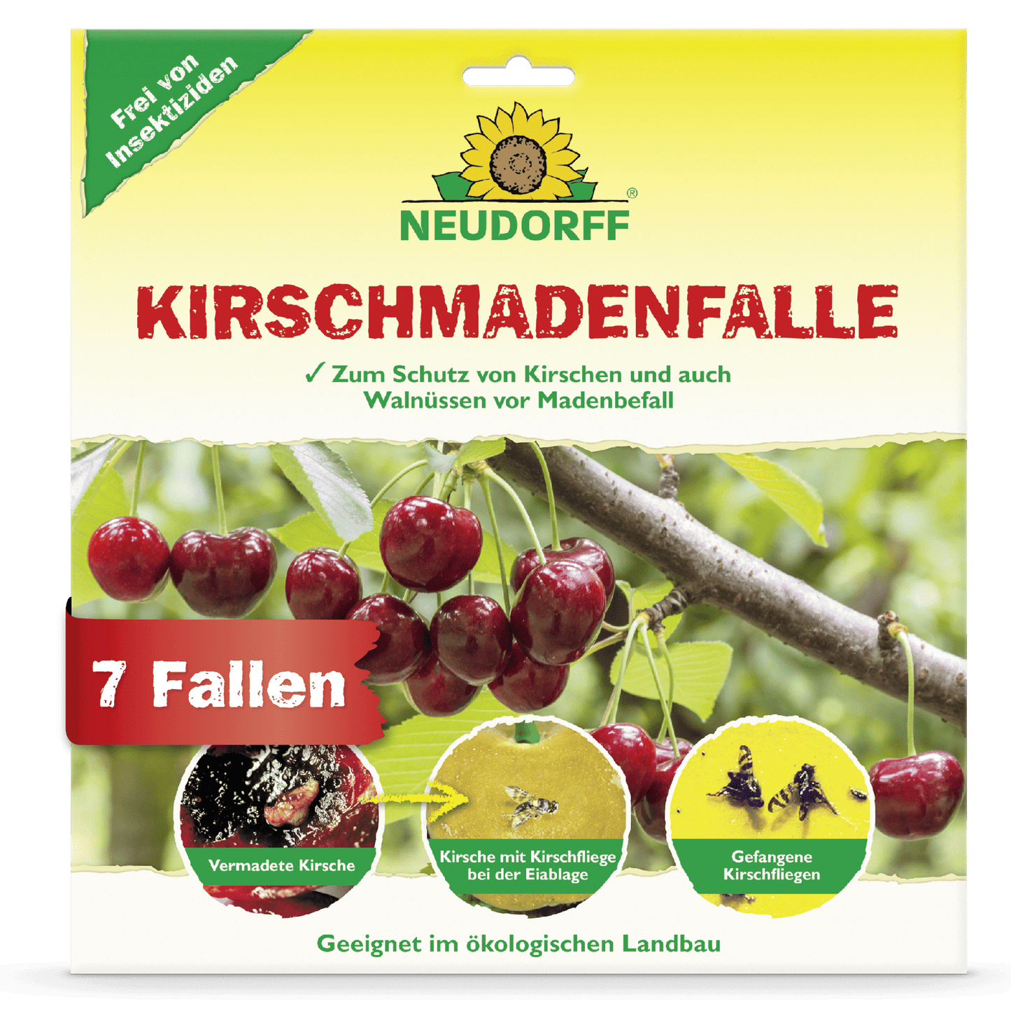 The front of a Neudorff Shop cherry maggot trap shows ripe cherries, close-ups of damage caused by the cherry fruit fly, trapped maggots and flies. The text highlights suitability for organic cherry harvest and that the package contains 7 traps.