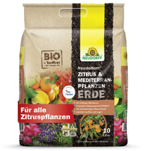 Plandaí Citris & Meánmhara NeudoHum Ithir