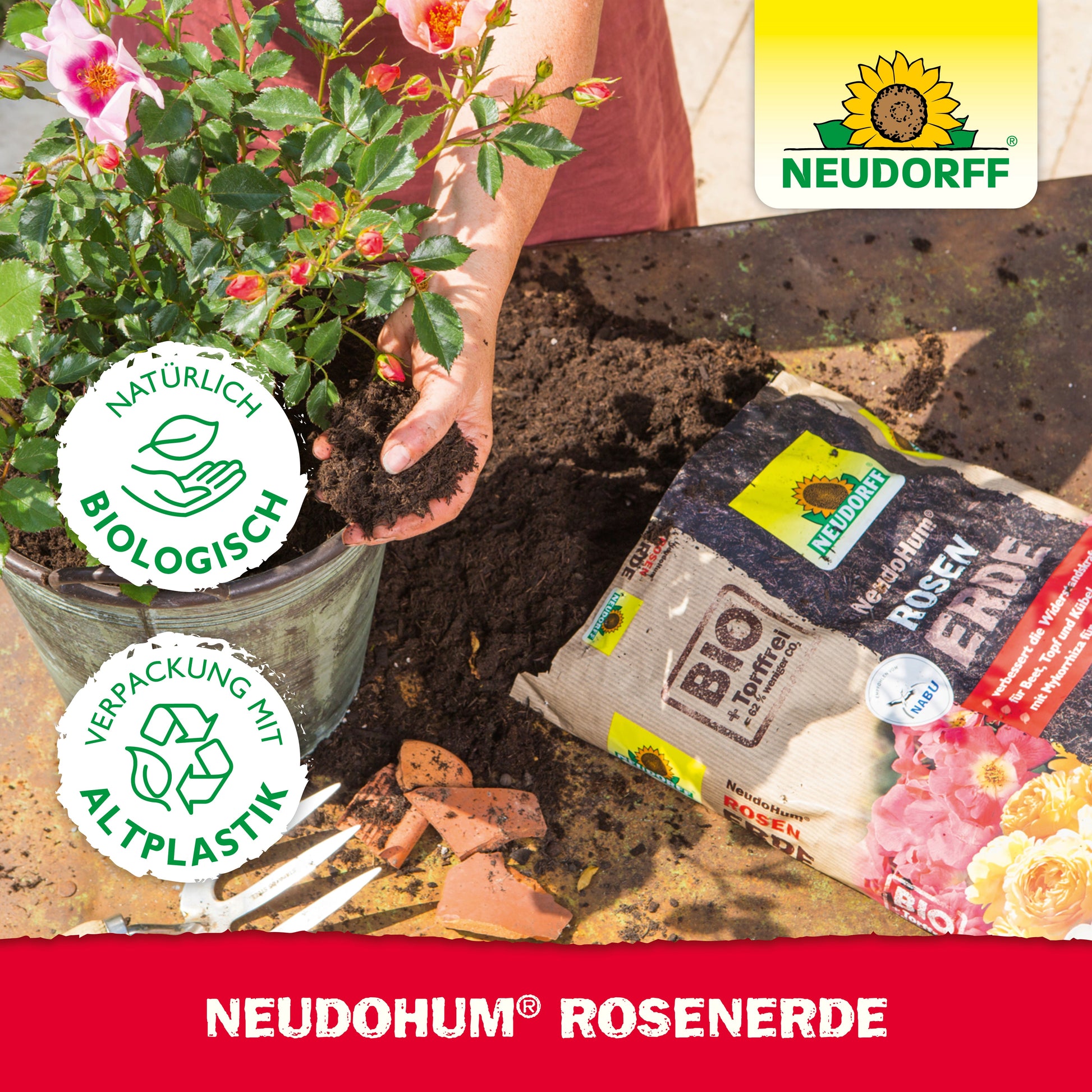 Eine Person pflanzt eine blühende Rosenpflanze mit NeudoHum RosenErde aus dem Neudorff Shop; auf dem Tisch und in der rechten oberen Ecke befinden sich der Erdesack, Terrakotta-Scherben, zwei Zertifizierungssymbole und das Neudorff-Logo.