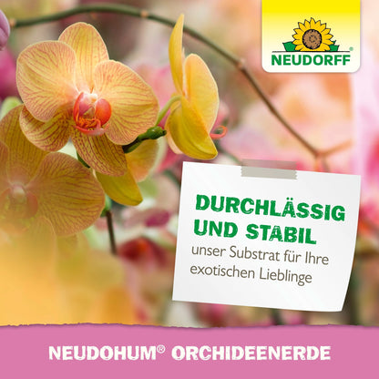 Tá seat gar de oráisté buí agus bándearg le clár bán a thaispeánann NeudoHum OrchideenErde ón Neudorff Shop. Ar barr ar dheis tá lógó Neudorff le bláth na gréine. Leideanna idéalach chun athphlandáil agus fás sláintiúil oráisté a dhéanamh.