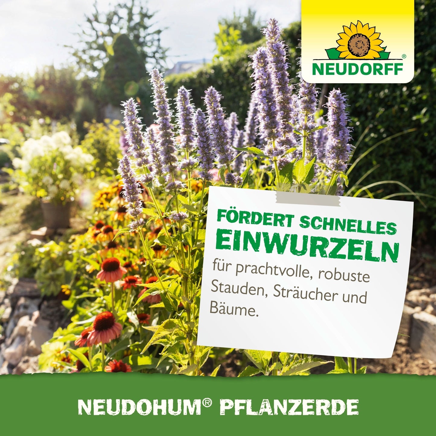 A sunlit garden bed with purple and red flowers. In front of it is a sign: "Promotes quick rooting for magnificent, robust perennials, shrubs, and trees - thanks to peat-free NeudoHum Plant Soil." The Neudorff Shop logo is at the top right.