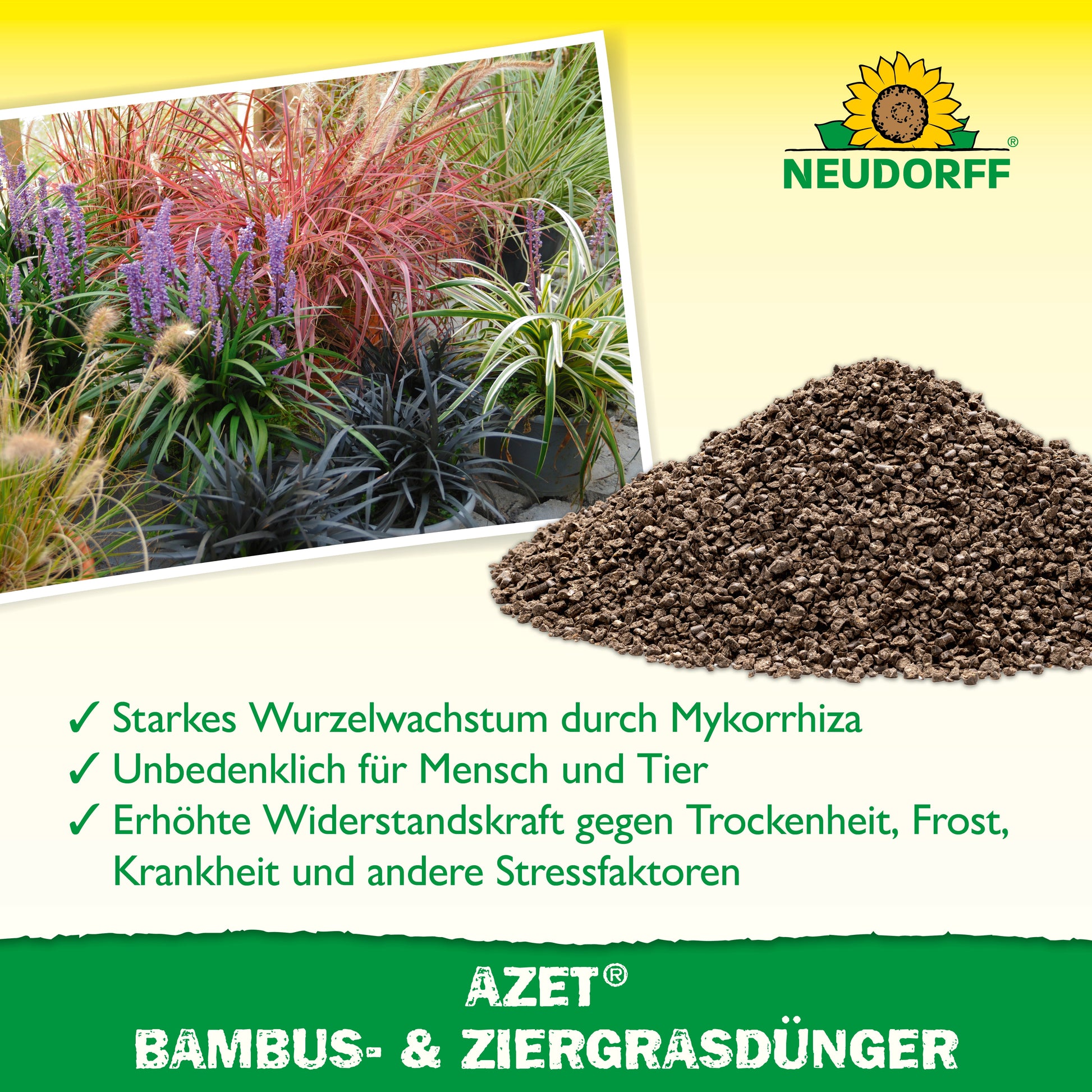 Azet Bambus- & ZiergrasDünger von Neudorff Shop fördert pflegeleichte Gräser und violette Blumen und sorgt so für einen charmanten Blickfang im Garten.