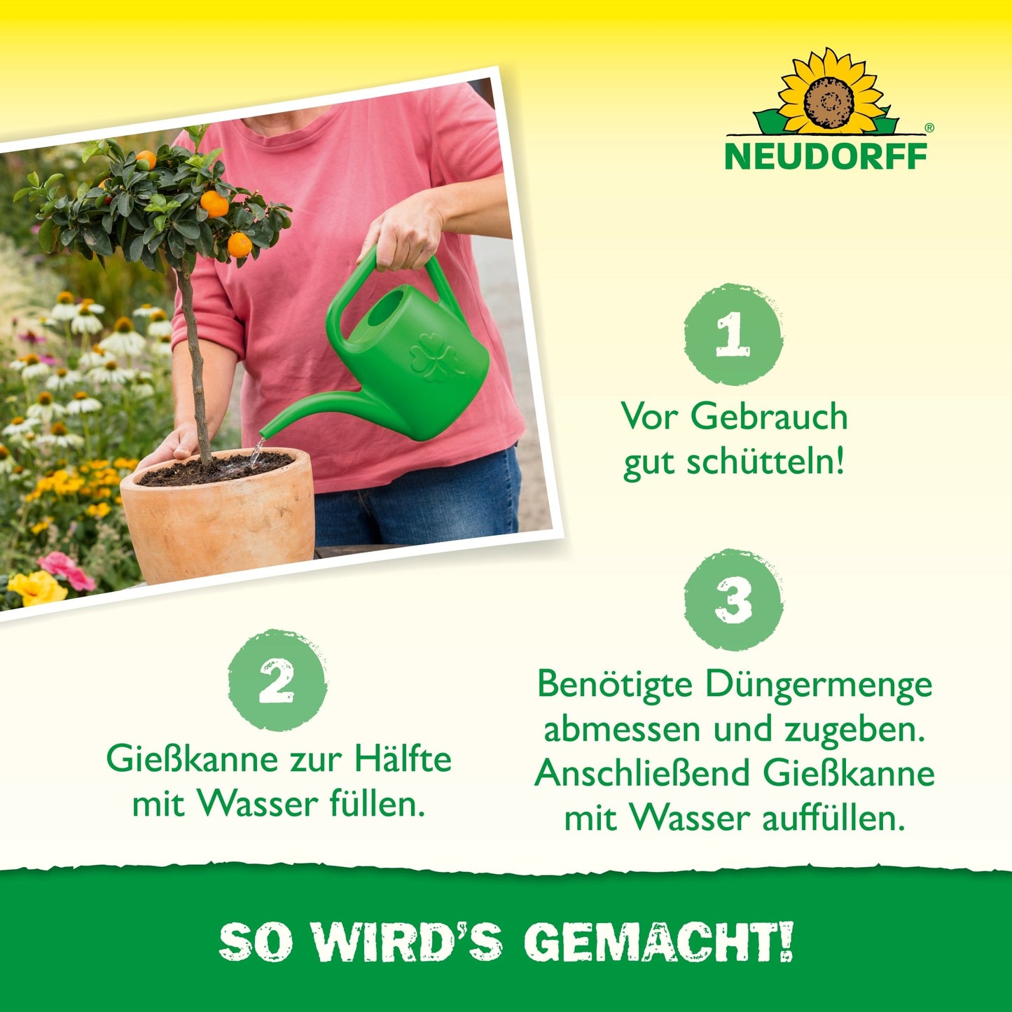 Tá duine ag uisceadh crann coimeádáin beag - is dócha oleander - le canna uisce glas. Treoir Ghearmánach maidir le húsáid Azet Zitrus- & MediterranpflanzenDünger ón Neudorff Shop, le huimhreacha céime agus lógó Neudorff ar barr ar dheis.