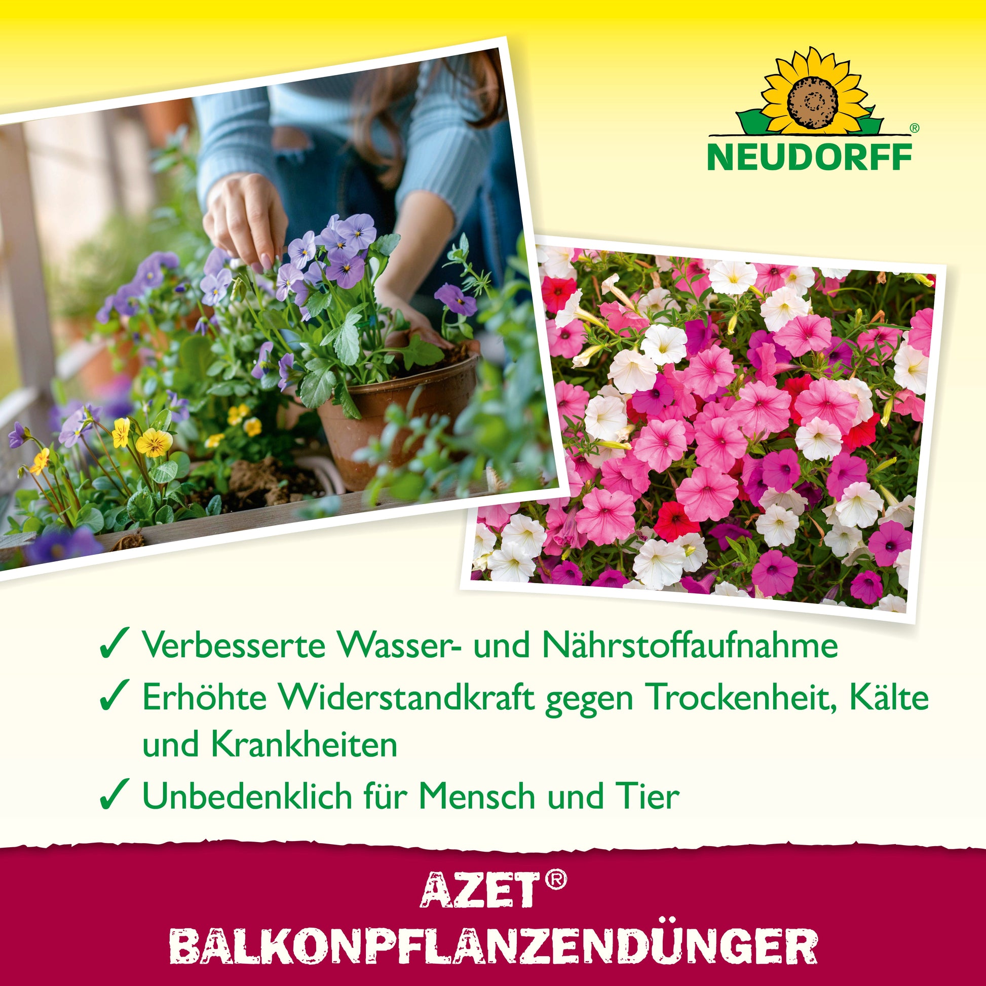 Eine Person pflanzt leuchtende Sommerblumen in einen rechteckigen Balkon-Pflanzkübel mit blühenden rosa, weißen und violetten Blumen. Grüne Häkchen heben die Vorteile von Azet BalkonpflanzenDünger flüssig hervor. Das Logo des Neudorff Shops erscheint oben.