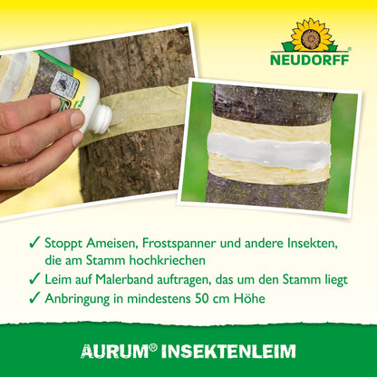 A person applies Aurum Insect Glue from Neudorff Shop in a band around a tree trunk and wraps it with tape to protect fruit trees from winter moth females and ants. The image shows German text and the Neudorff logo at the top edge.