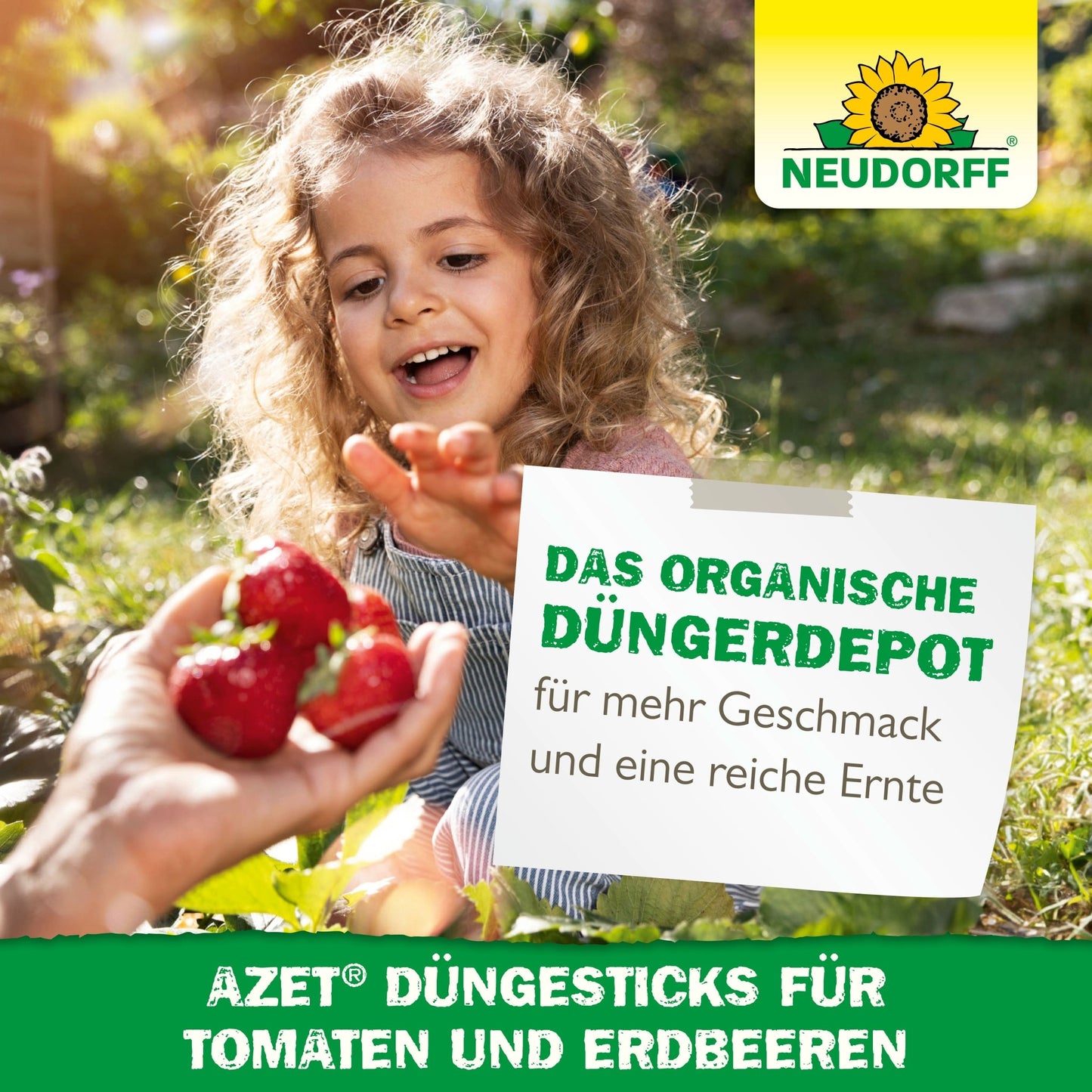 A child reaches for strawberries being handed to them outdoors, promoting Neudorff Shop Azet fertilizer sticks for tomatoes & strawberries, with the text highlighting better taste and higher yield.