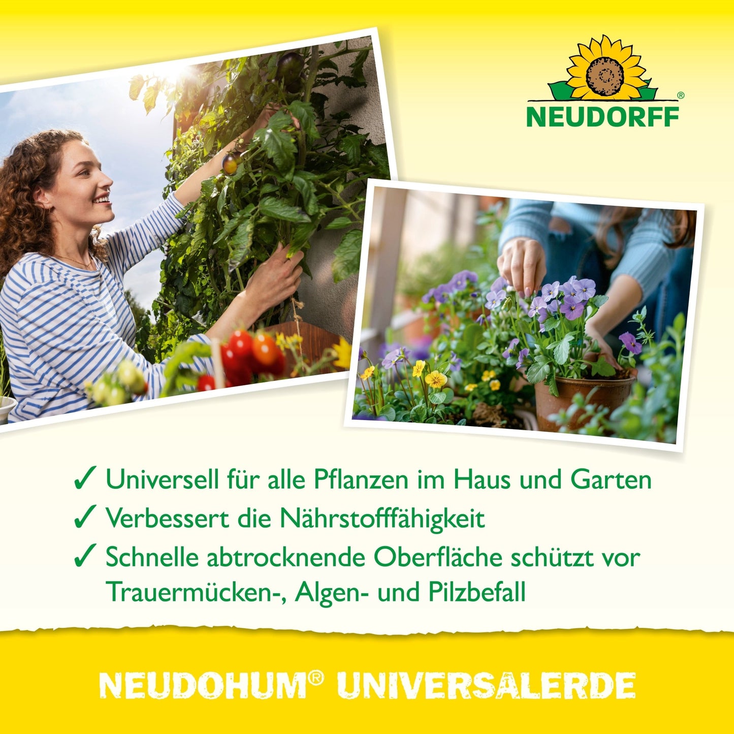 A woman tends to tomato plants, another arranges potted flowers. The text highlights NeudoHum Universal Soil from Neudorff Shop, which offers better nutrient availability and protection against pests, algae, and fungi. The Neudorff logo is pictured at the top.