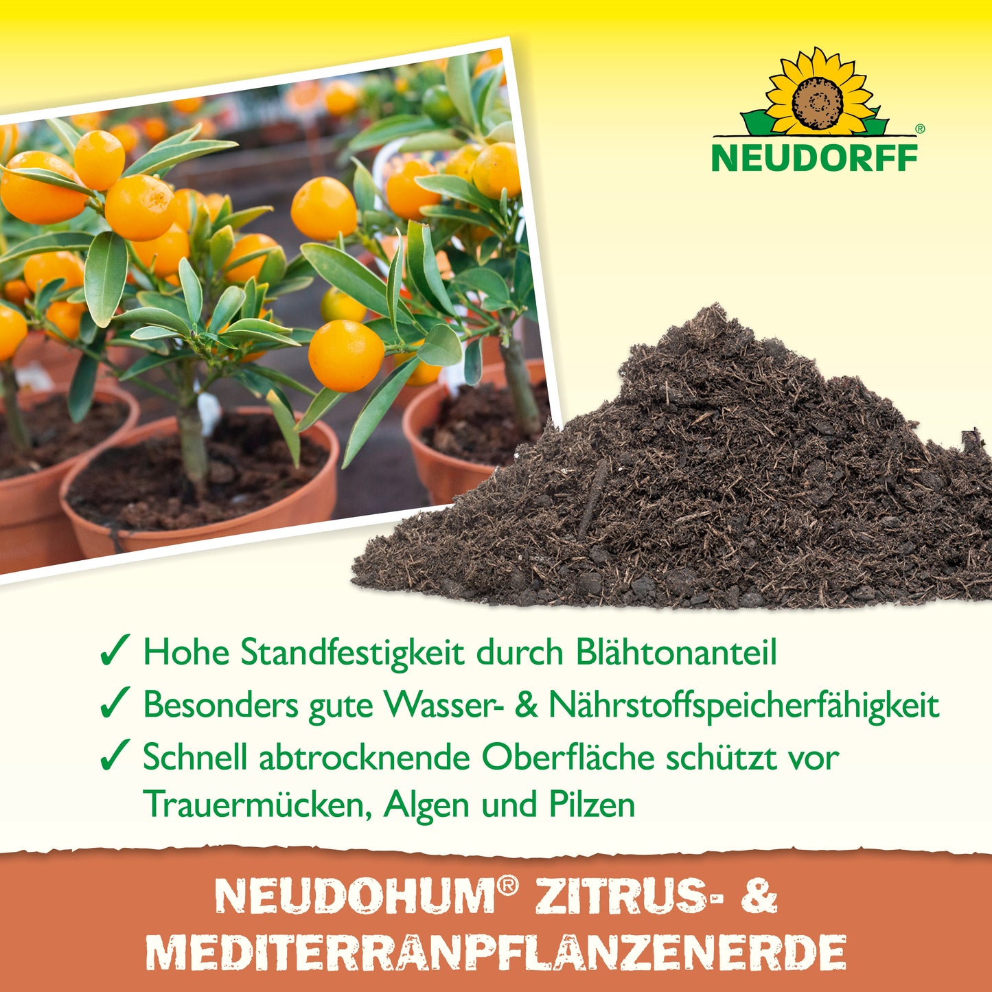 NeudoHum Citrus & Mediterranean Plants Soil