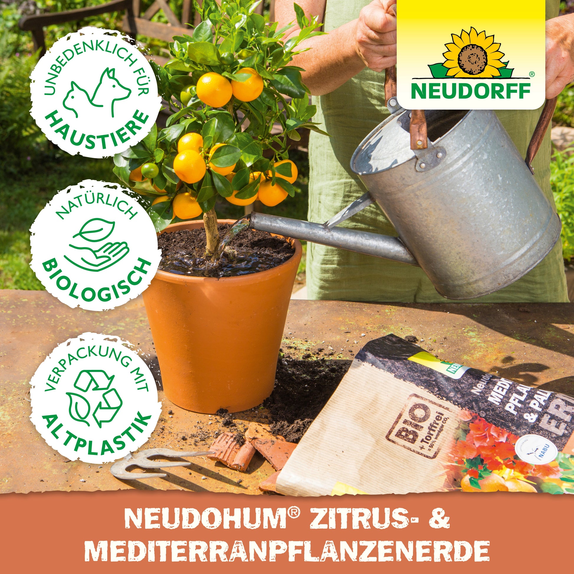 Auf dem Balkon gießt jemand eine getopfte Zitruspflanze neben einer Tüte NeudoHum Zitrus- & MediterranpflanzenErde von Neudorff Shop - haustiersicher, biologisch und in einer Biokunststoffverpackung - ideal für Ihren Großstadtdschungel.