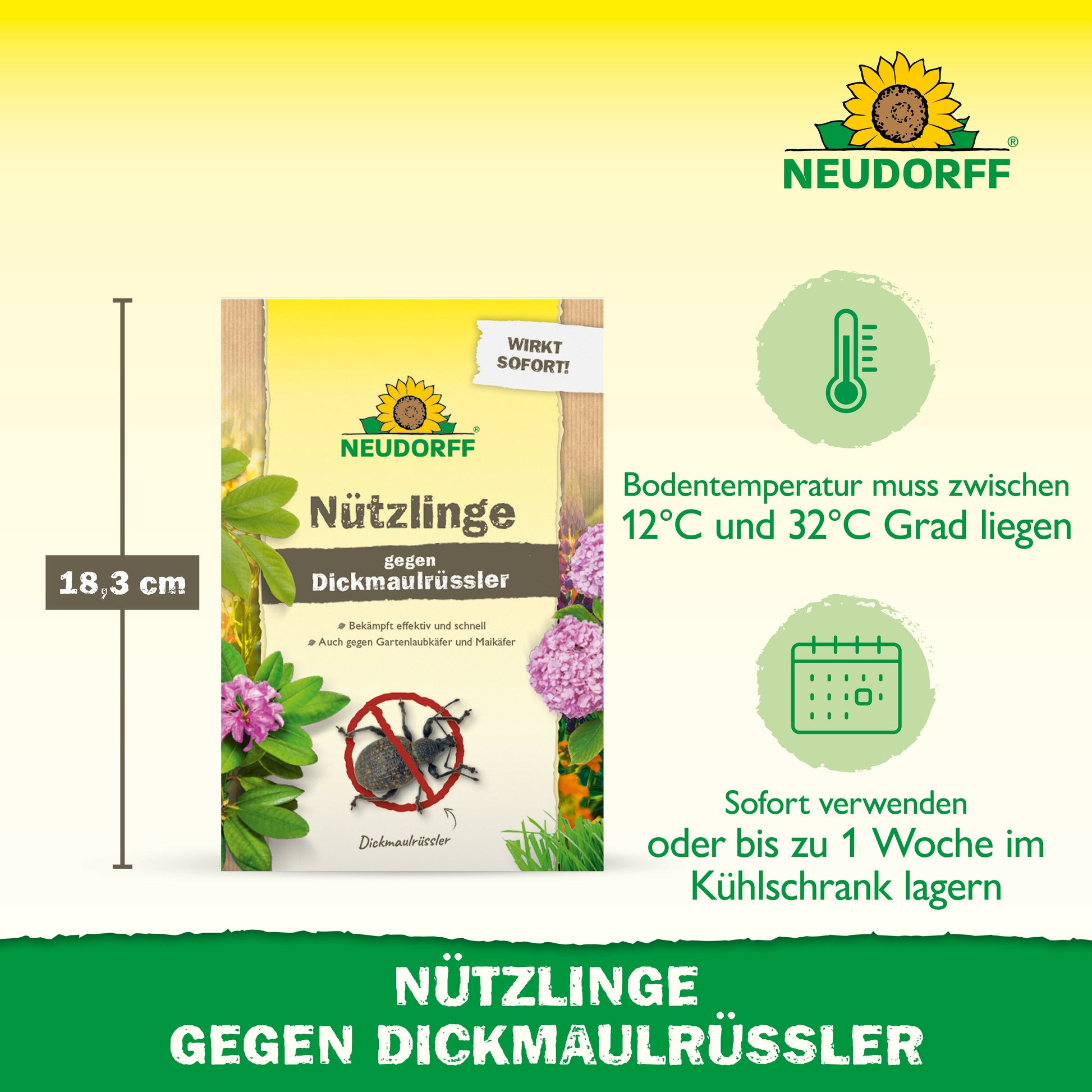 Abgebildet ist eine Packung "Nützlinge gegen Dickmaulrüssler" aus dem Neudorff Shop, auf der die Höhe von 18,3 cm, die erforderliche Bodentemperatur und die Anwendungshinweise für dieses natürliche Schädlingsbekämpfungsmittel auf Nematodenbasis angegeben sind.