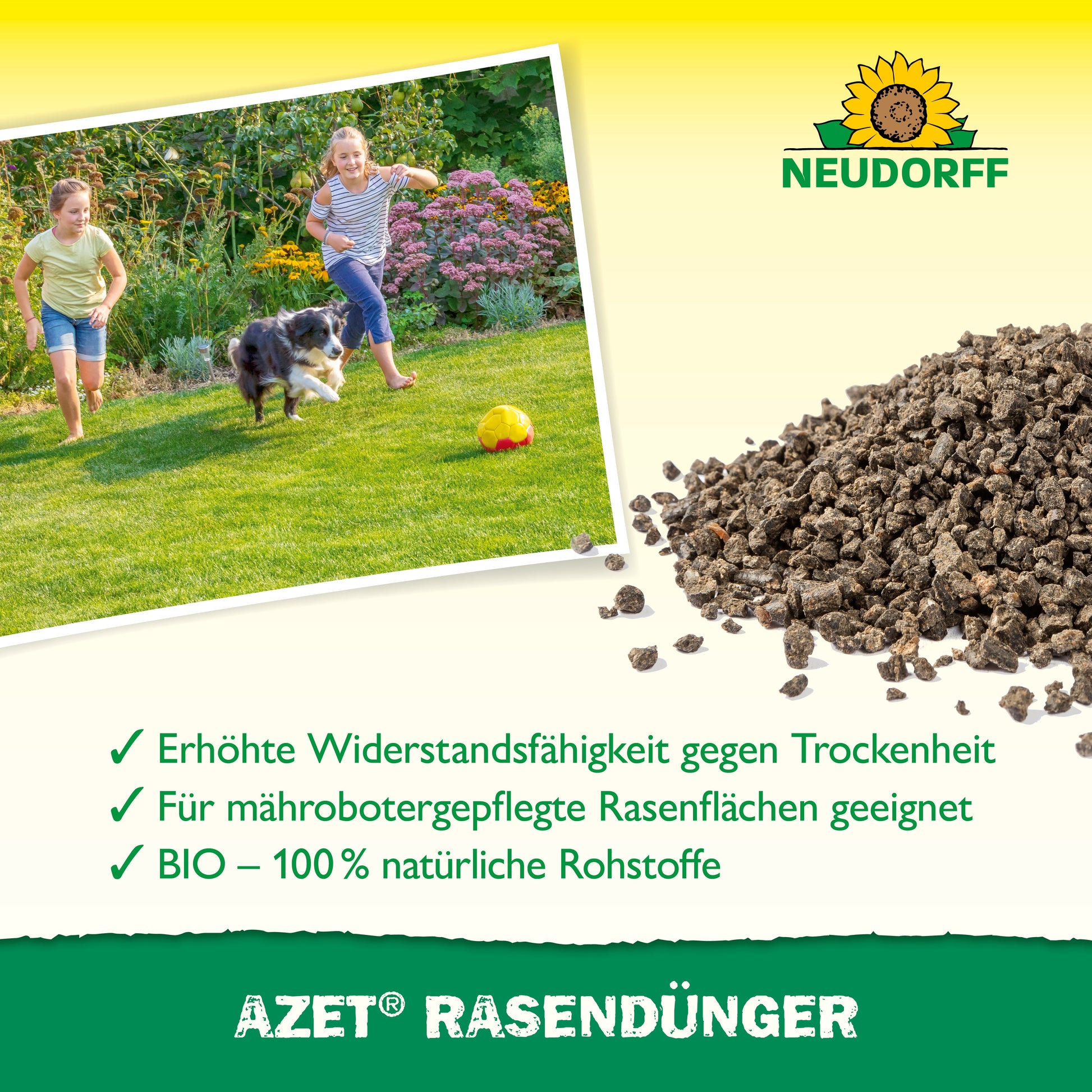 Ein Foto von zwei Kindern und einem Hund, die auf saftigem Rasen mit einem Fußball spielen, neben einem Beutel Neudorff Shop Azet RasenDünger 2,5 kg bis 5 kg. Text hebt Vorteile für eine dichte Rasenfläche hervor; Neudorff-Logo erscheint oben rechts.