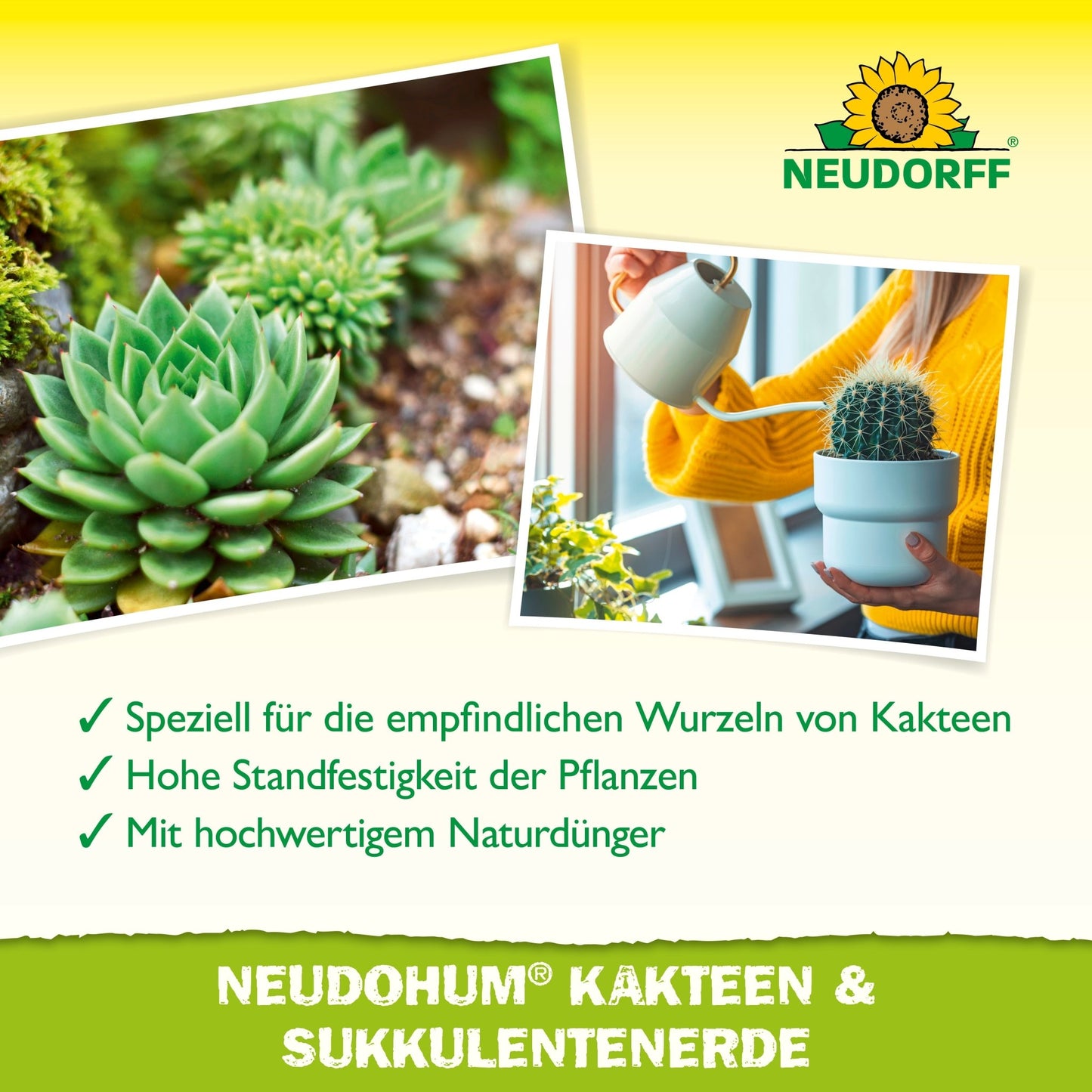 On the left, green succulents in high-quality soil, on the right, a person watering a cactus. German text advertises NeudoHum Cactus & Succulent Soil - the peat-free soil for cacti and succulents from the Neudorff Shop.