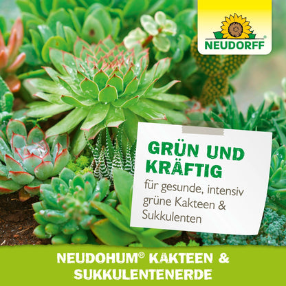 Close-up of green cacti and succulents in NeudoHum Cactus & Succulent Soil from the Neudorff Shop, with a label: "Green and strong for healthy, intensely green cacti & succulents" and the Neudorff logo at the top right.