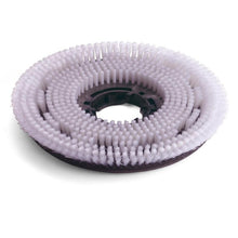 Scuab scrobarnach níolón numatic