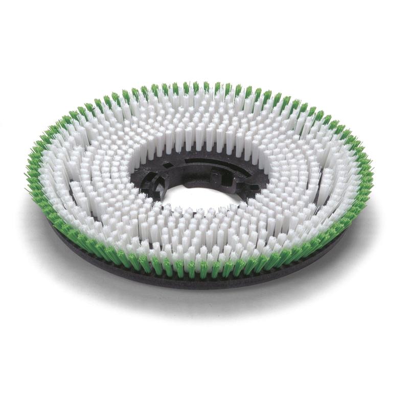 Numatic Octo PPN Scrub Brush 0.6mm 300mm for TTV678/TVL850 | Pack (1 piece)