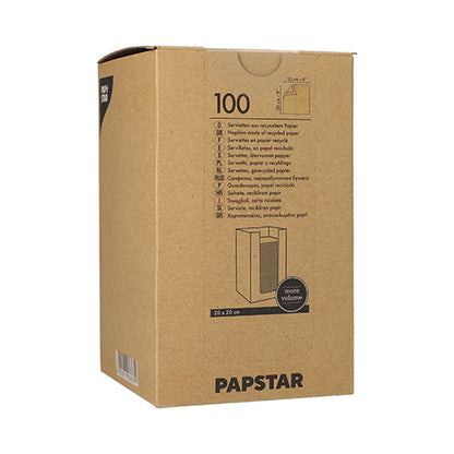 A brown box with the inscription "PAPSTAR GmbH" contains 100 PAPSTAR napkins 1/4-fold from recycled paper, 20x20 cm natural, with multilingual text and a simple napkin stack illustration on the box.