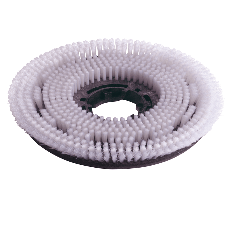 Numatic 2 x Nylon Scrub Brush 220mm (NUC244NX/TTB420) | Pack (1 piece)