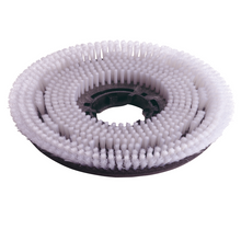 Numatic 2 x Nylon Scrub Brush 220mm (NUC244NX/TTB420) | Pack (1 piece)