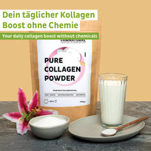 Collagen hydrolyzate powder