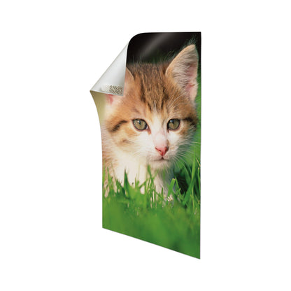 A printed sheet with a rolled-up top corner shows a close-up of a tabby kitten in the green grass. With the 3M Deutschland GmbH Command™ Poster Strips 17024 for residue-free mounting, it can easily be attached to any white background.