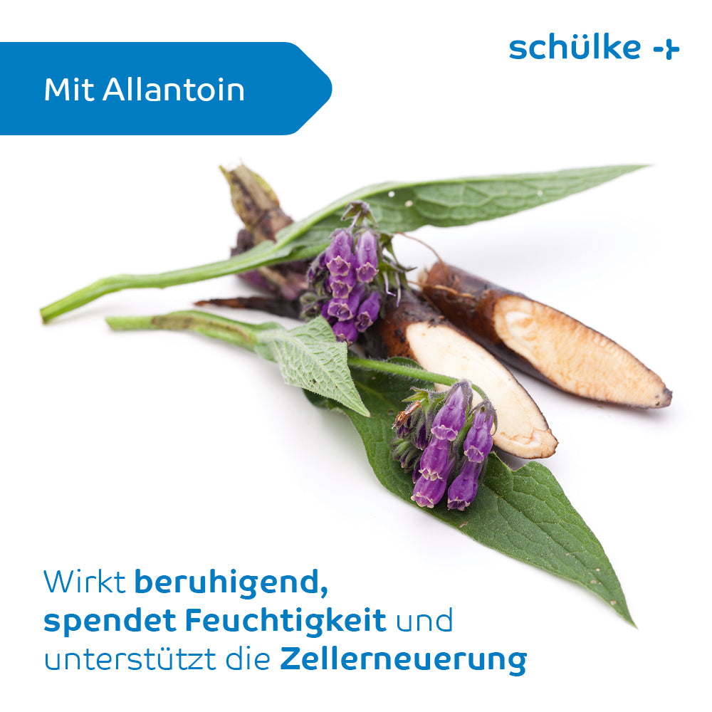 An image of comfrey plant parts, including leaves, roots, and purple flowers, against a white background. The text is in German and states that the Schülke Esemtan® Wash Lotion by Schülke & Mayr GmbH contains allantoin and offers soothing, moisturizing effects for daily use and supports cell renewal.